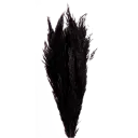 Navigate to image