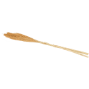 Navigate to image