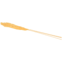 Navigate to image