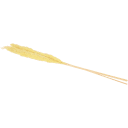 Navigate to image