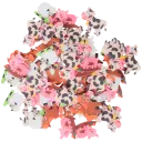 Navigate to image