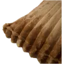 Navigate to image