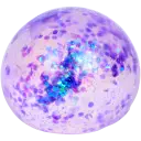 Navigate to image