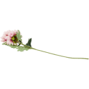 Navigate to image