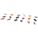 Navigate to image