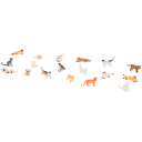 Navigate to image