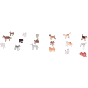 Navigate to image