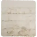 Navigate to image