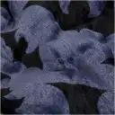 Navigate to image