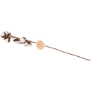 Navigate to image