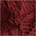 Navigate to image