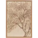 Navigate to image