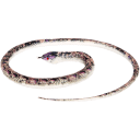 Navigate to image