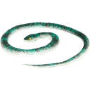 Navigate to image