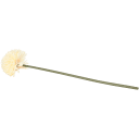Navigate to image
