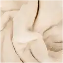 Navigate to image