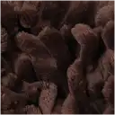 Navigate to image