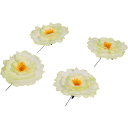 Navigate to image