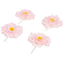 Navigate to image