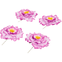 Navigate to image