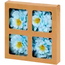 Navigate to image