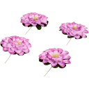 Navigate to image