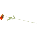 Navigate to image