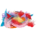 Navigate to image