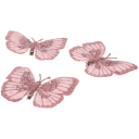 Navigate to image