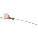 Navigate to image