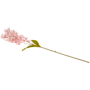 Navigate to image