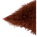 Navigate to image