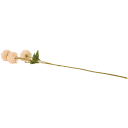 Navigate to image