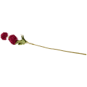Navigate to image