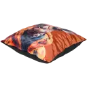 Navigate to image