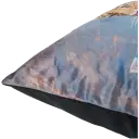 Navigate to image