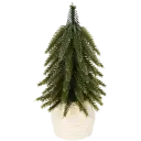 Navigate to image