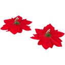 Navigate to image