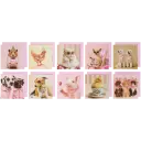 Navigate to image