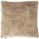 Navigate to image