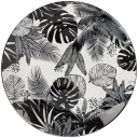 Navigate to image