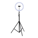Navigate to image