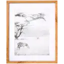 Navigate to image