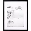 Navigate to image