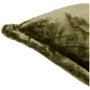 Navigate to image