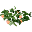 Navigate to image