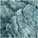 Navigate to image
