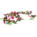 Navigate to image