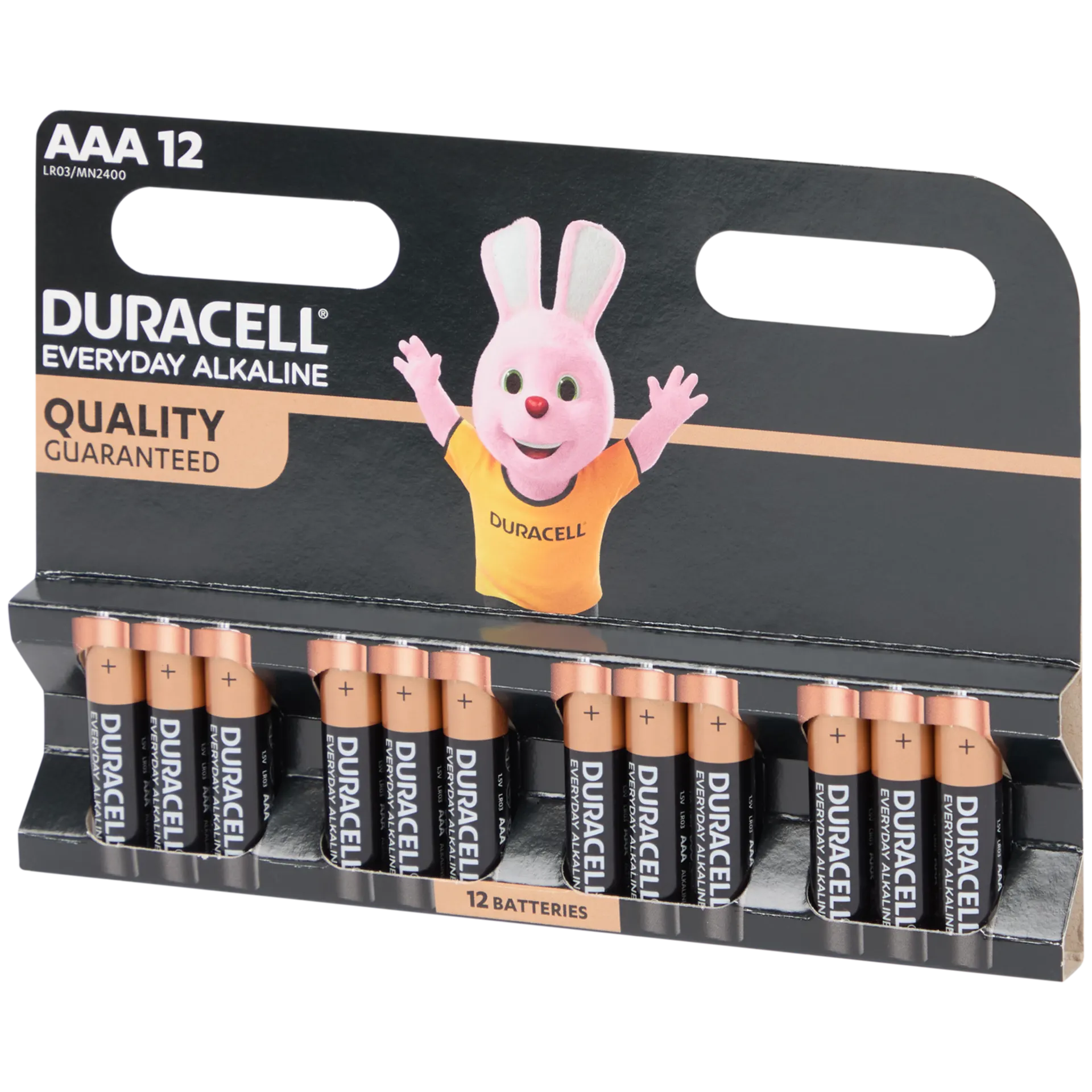 Duracell Everyday Alkaline Batterien AAA
