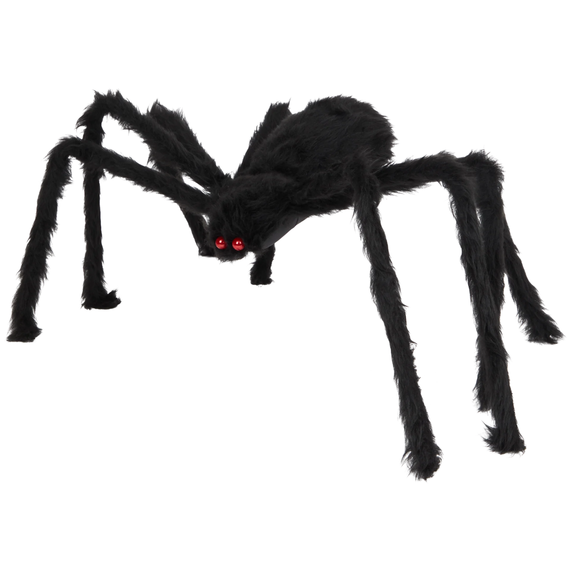 Halloween-Spinne